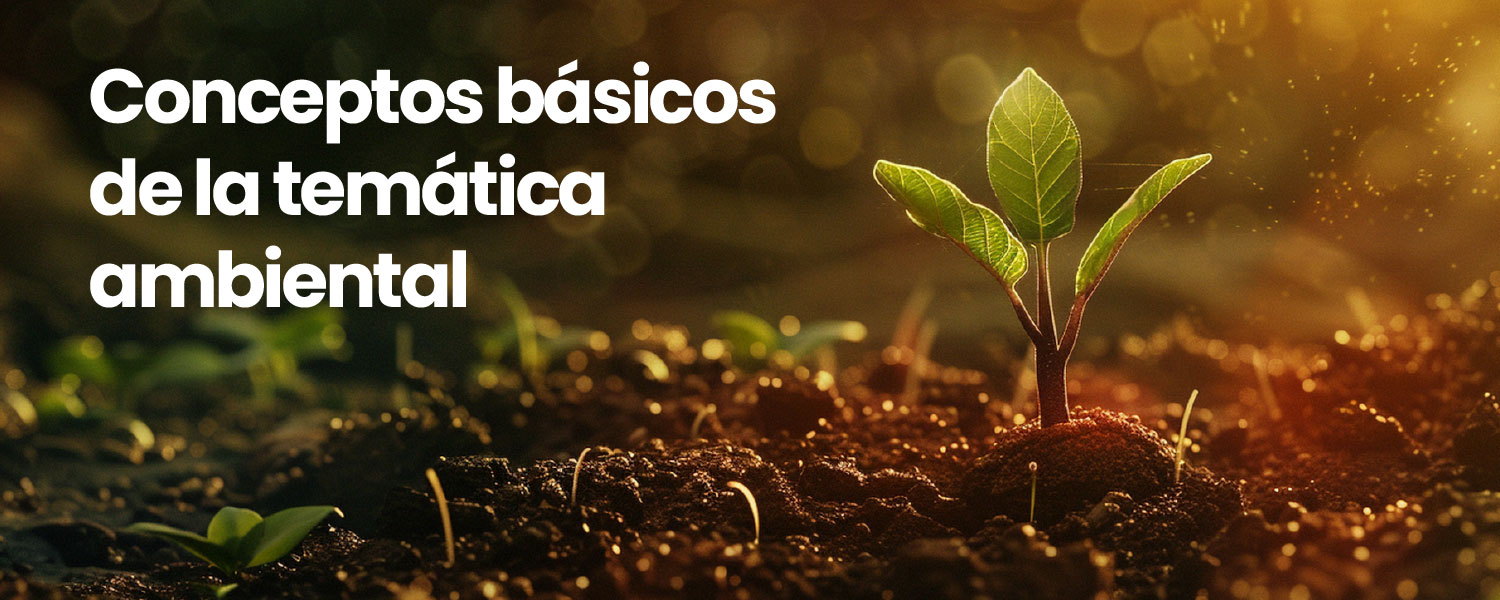 Banner Juego #6: Conceptos básicos de la temática ambiental