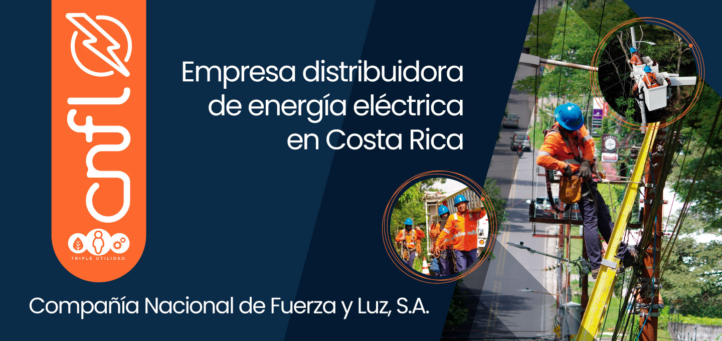 Empresa distribuidora de energía